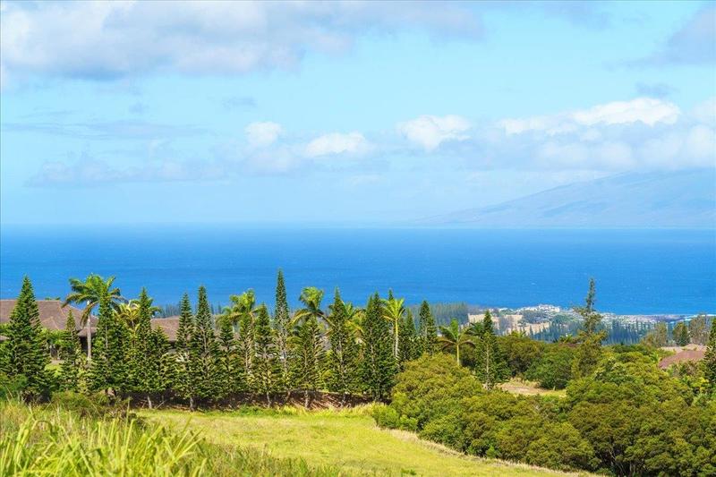 218 KEOAWA ST #16, LAHAINA, HI 96761